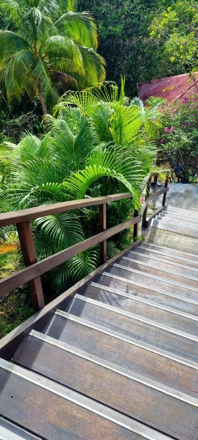 Bungalow Et Duplex De Island Bay Villa Bouillante Luaran gambar