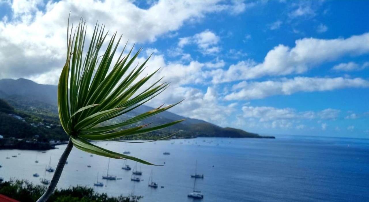 Bungalow Et Duplex De Island Bay Villa Bouillante Luaran gambar