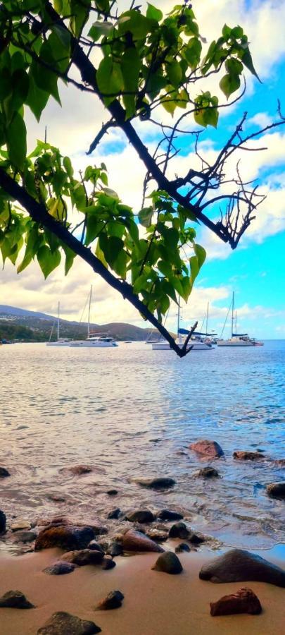 Bungalow Et Duplex De Island Bay Villa Bouillante Luaran gambar