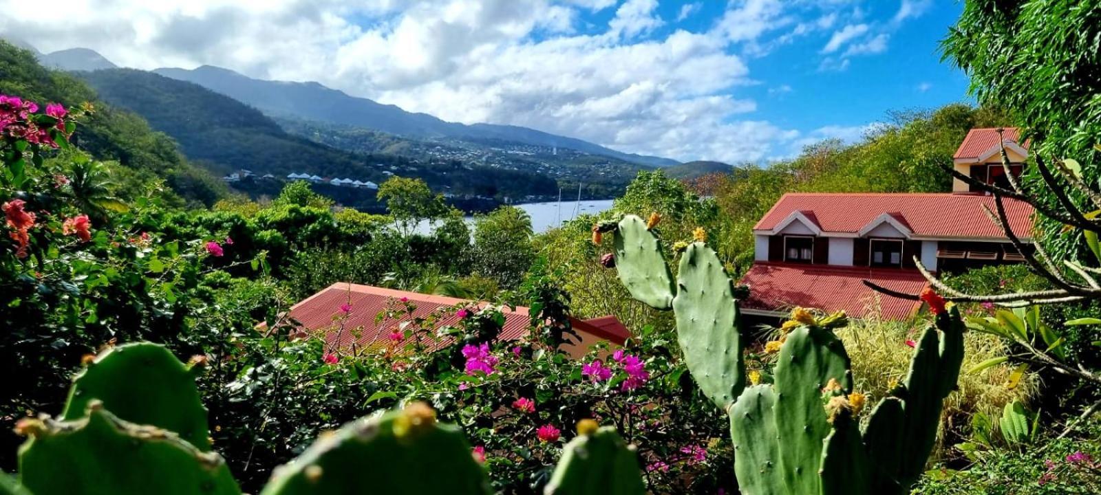 Bungalow Et Duplex De Island Bay Villa Bouillante Luaran gambar